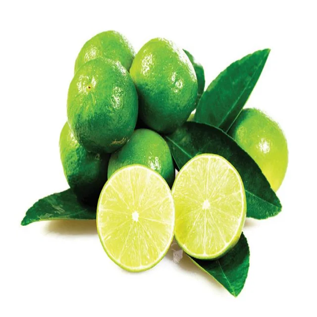 Lime seedless fresh seedless lime fresh green lemon high quality for exporting competitive price