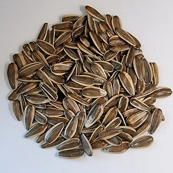 BREVIS Sunflower seeds Food & Beverage Snacks Nut & Kernel Snacks Roasted sunflower seeds Bulgarian origin