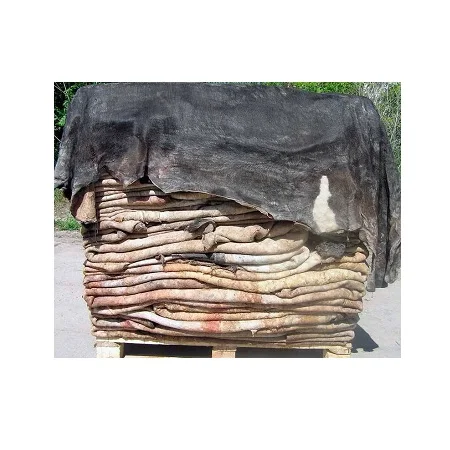 Dry Salted Cow Hides /Dry Salted Cow Skins best price