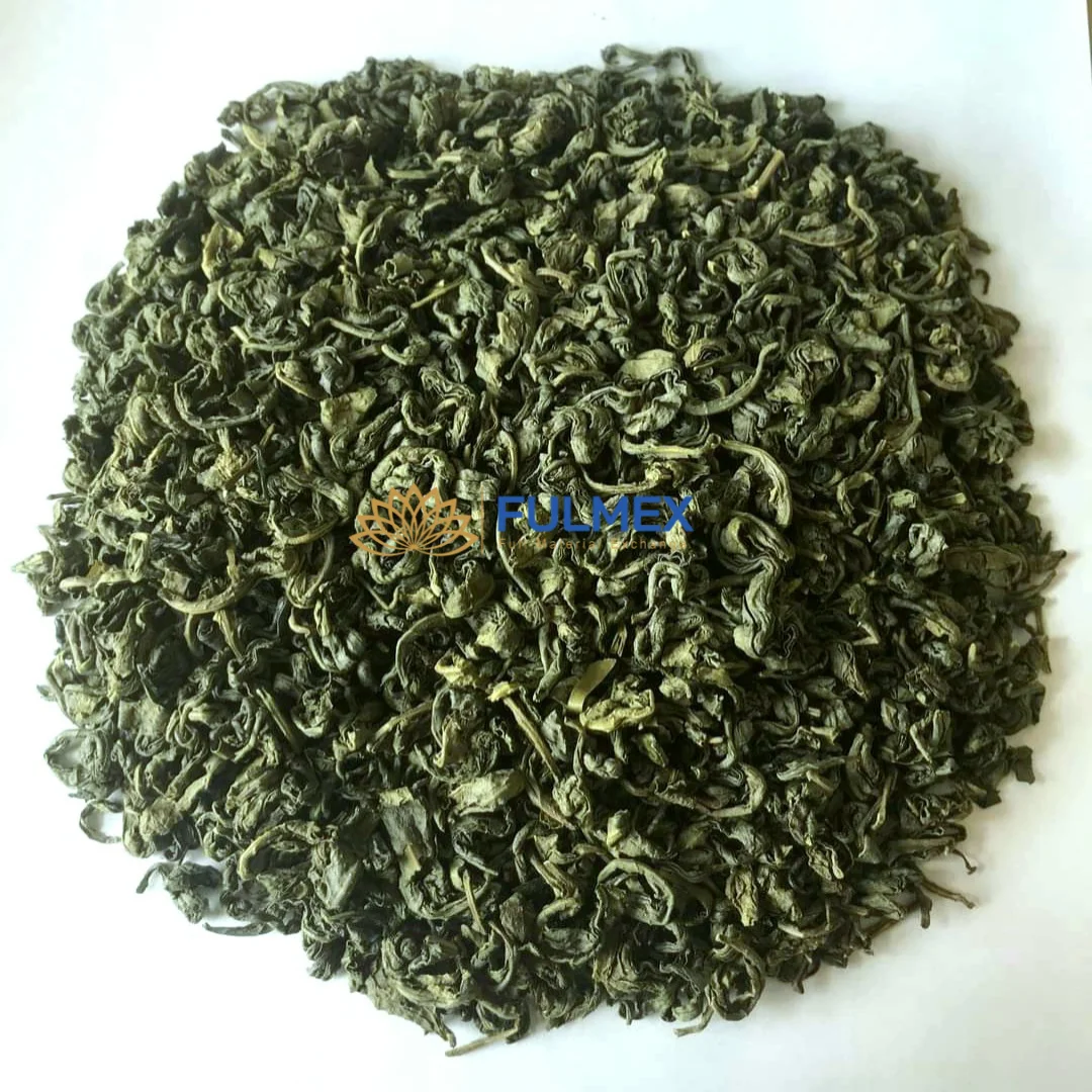 Beverages OP fresh healthy herbal green tea for weight loss in bulk quantity at wholesale price ready in stock