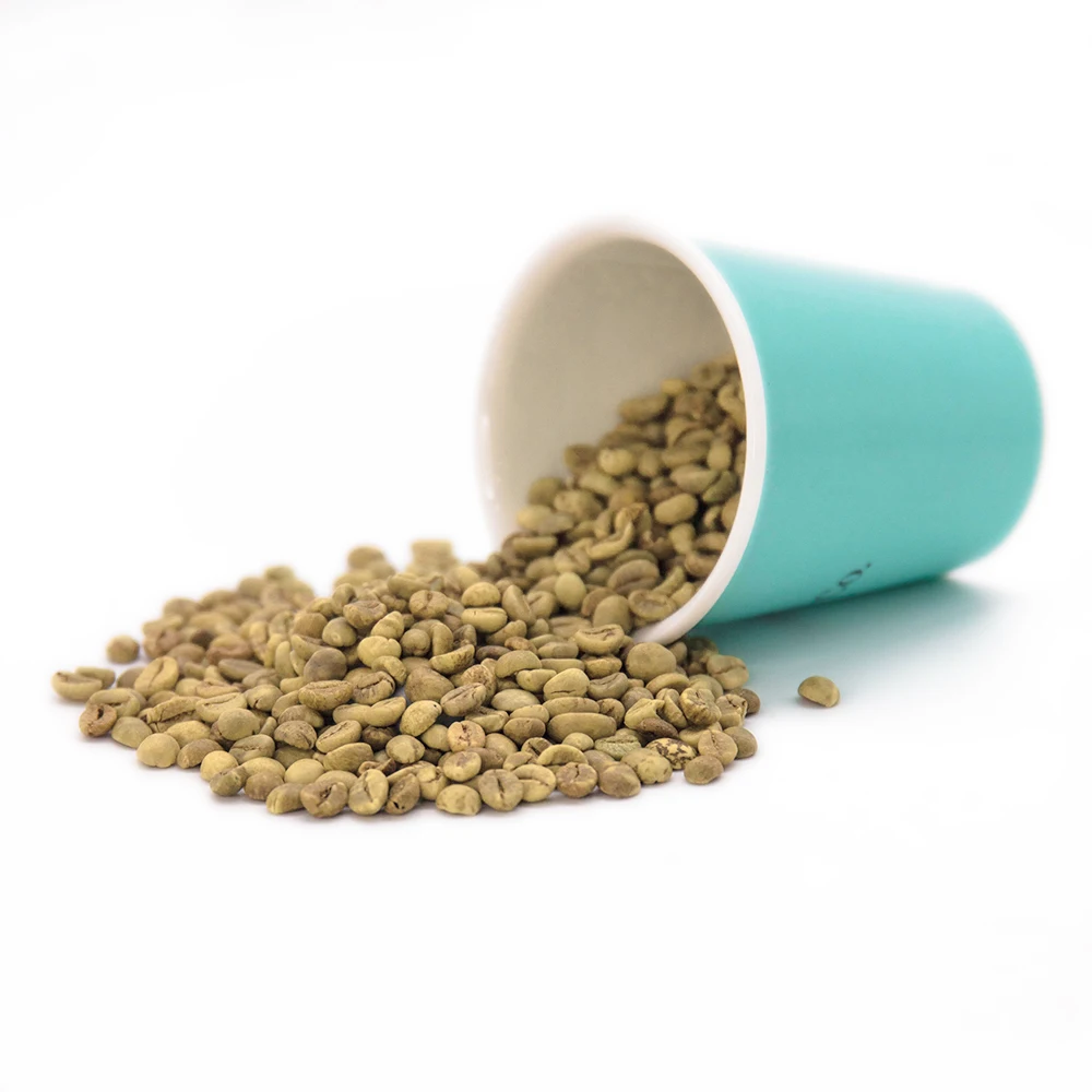 Wholesale Roasted Robusta / Arabica Coffee Beans Cheap Price High Quality from Brazil Direct Supplier