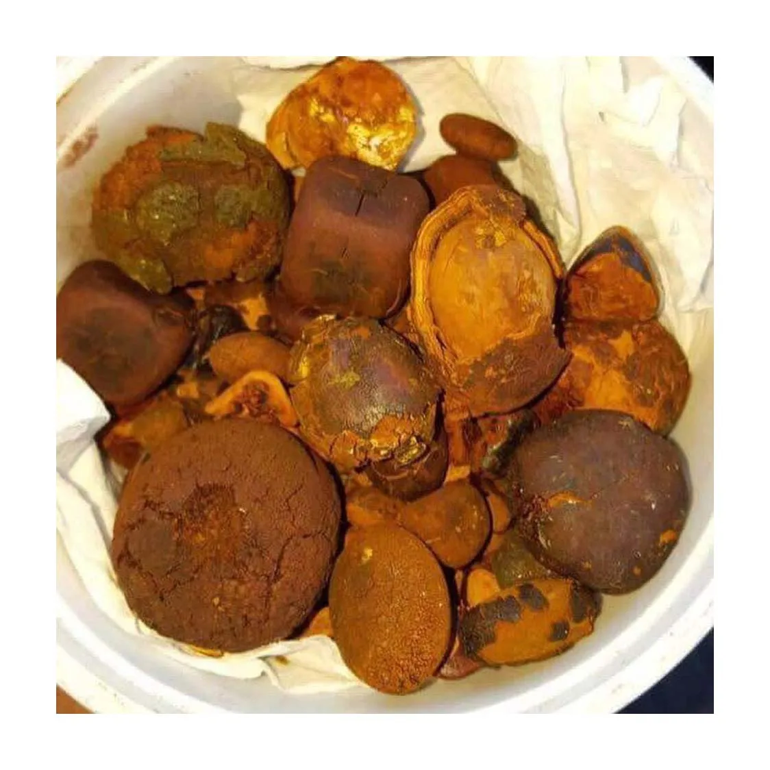 Gallstones Cattle Ox Cow Gallstones for sale in good price