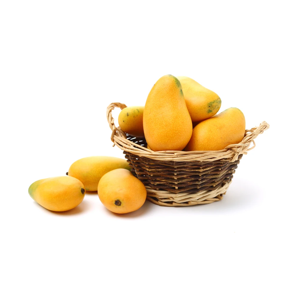 Premium Quality Mango Fruiti burst Juice 100% Wholesale Price