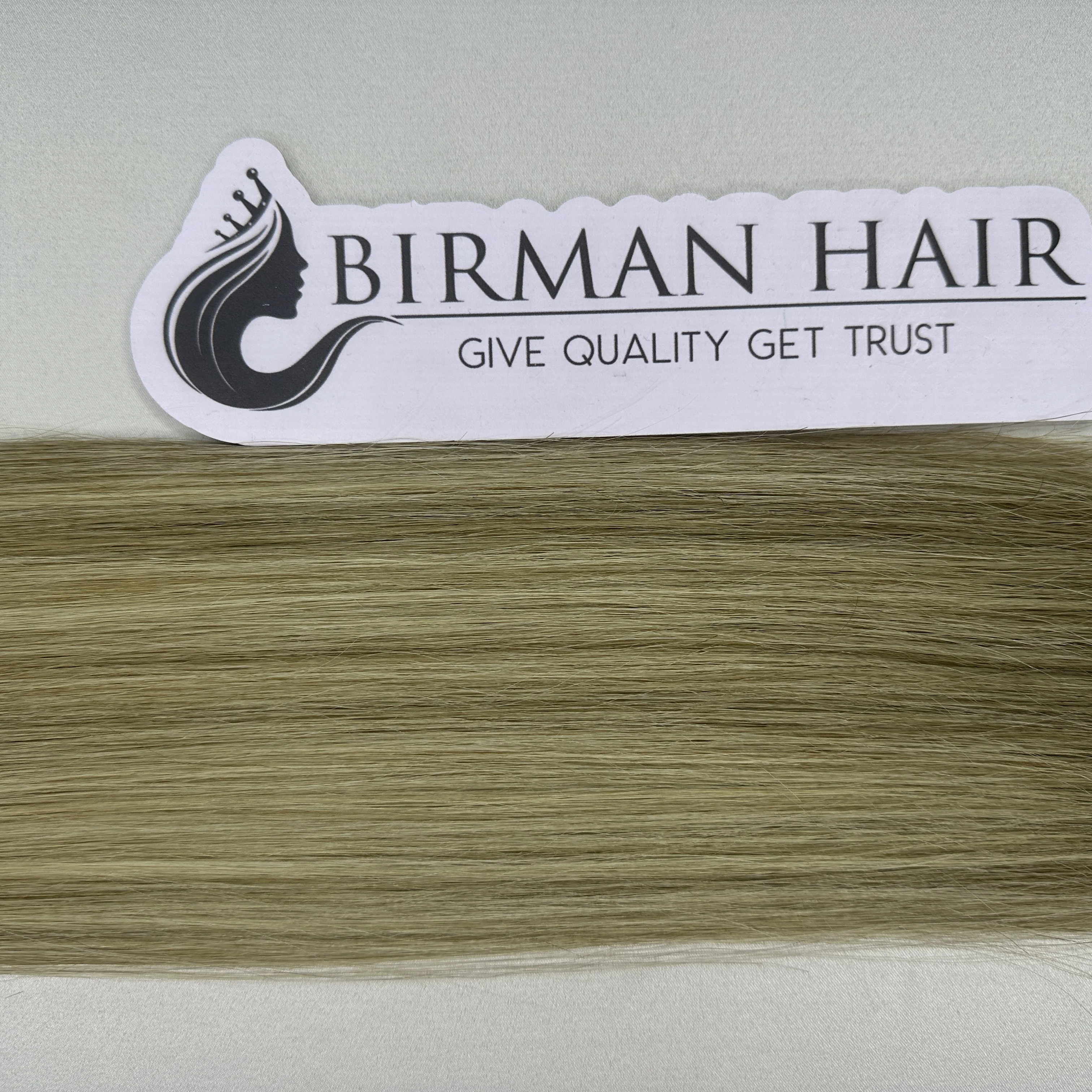 Wholesale Supplier 100% Luxury Vietnamese Straight Hair Extensions High Quality Light Color Tape-in Color #10/60 Raw Human Hair