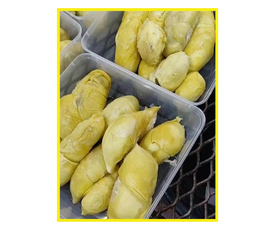 Высшее качество замороженный дуриан сделано во