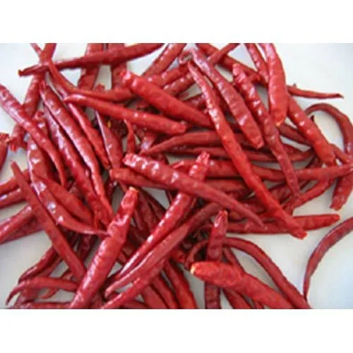 Highest Quality Teja Stemless Dried Red Chilli Use for Cooking Spices Available at Affordable Price from Indian Exporter