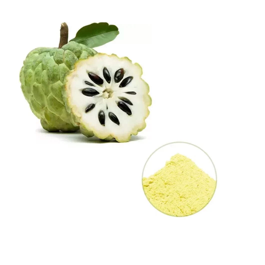 High On Demand Spray Dried Custard Apple Fruit Powder For Juice And Other Mix Beverages for Export from India