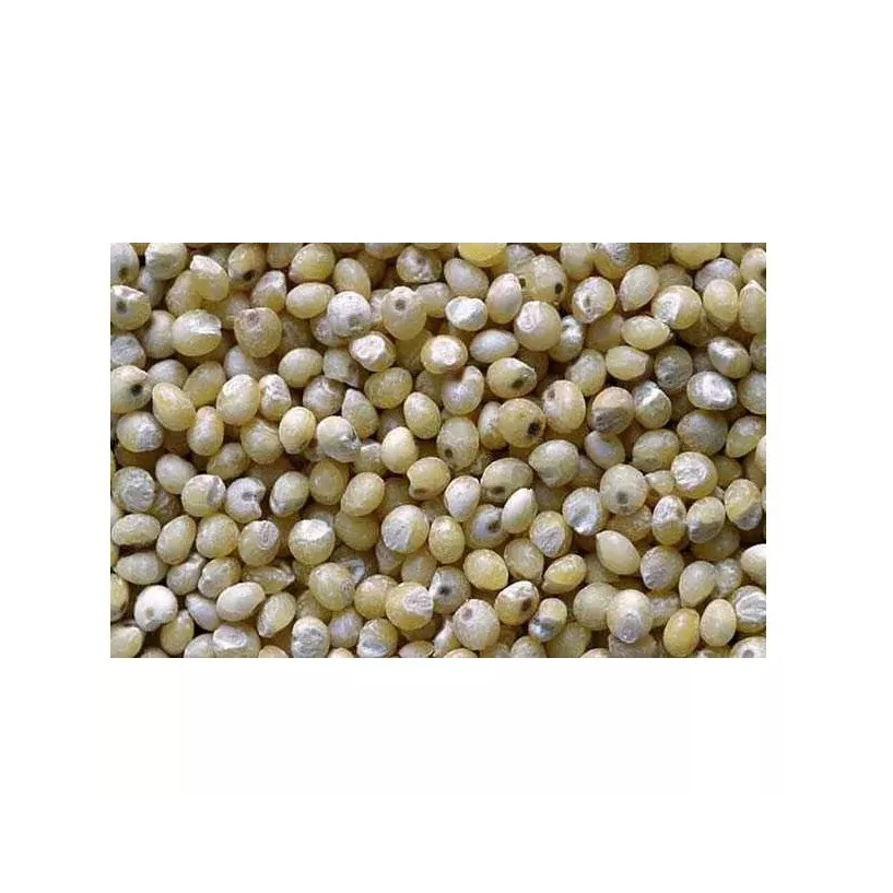 Red & Yellow Millets