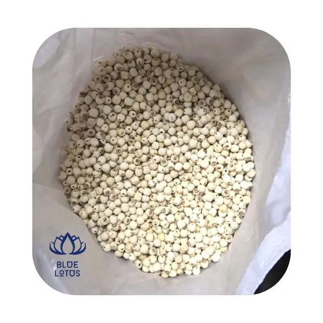 Семена лотоса