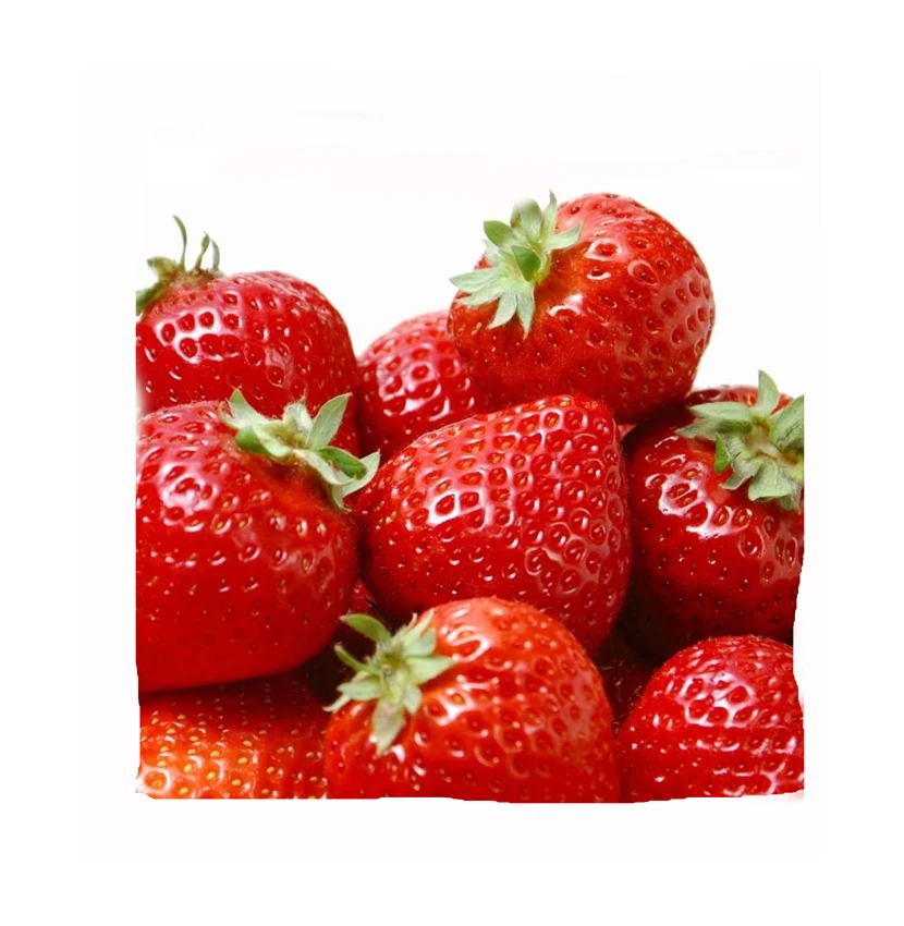 Quality Discount Price Red Sweet Strawberry Fruit