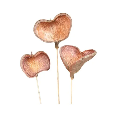 Wholesale Available In Different Colour & Sizes Natural Badam Stick For Decoration Home & Office