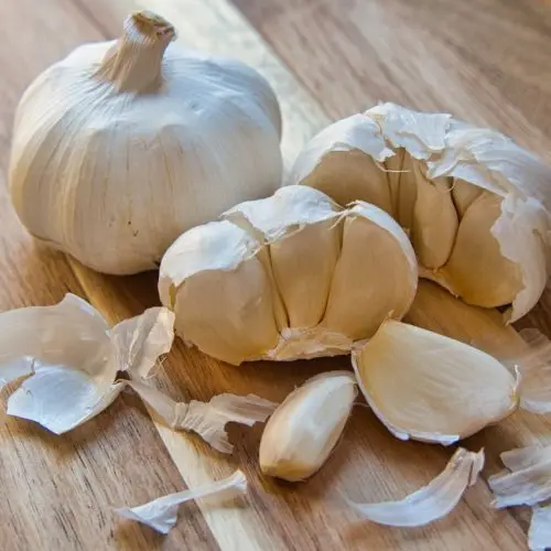 Organic Garlic Seeds From Farm Fresh Crop for Food Use