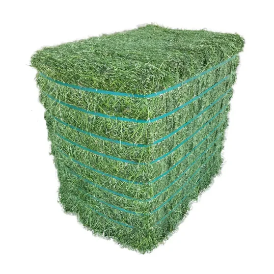 Top Grade Alfalfa For Animal Feed / Alfalfa Hay In Bulk