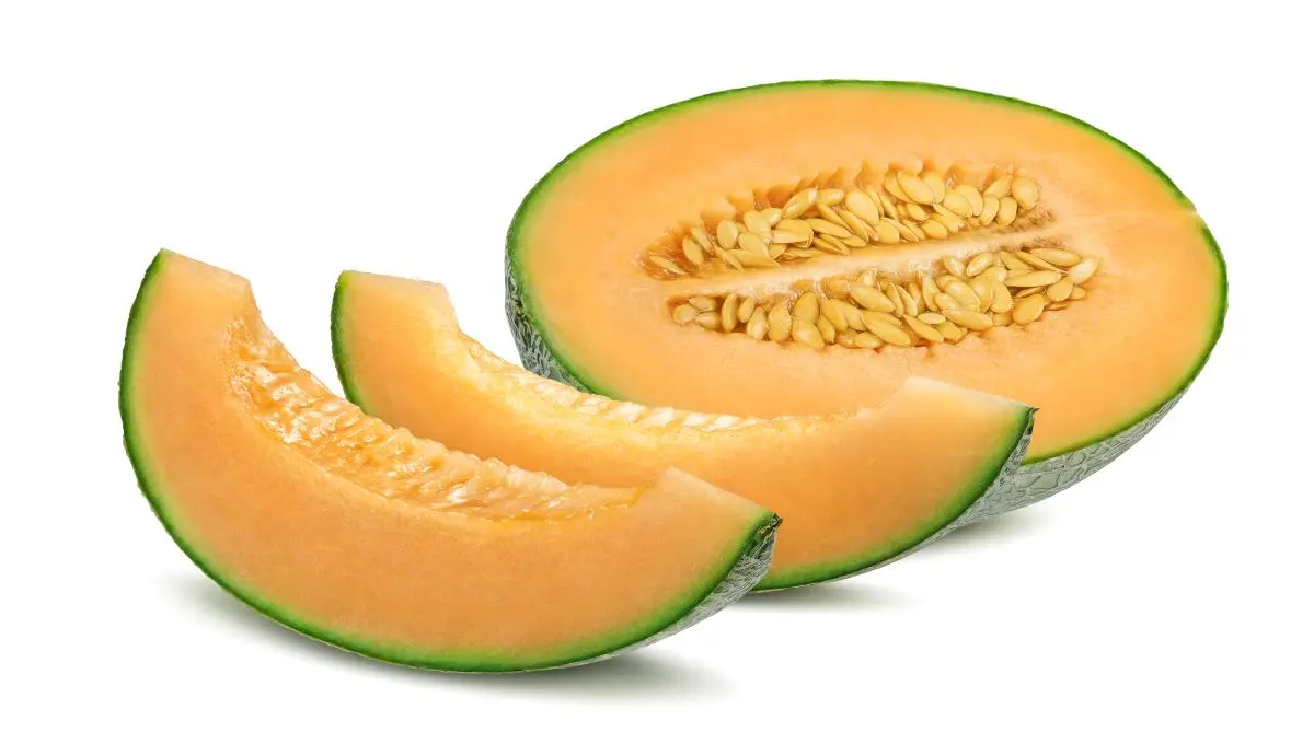 Exporting Fresh melon -  Cantaloupe seeds  with best quality for good healthy - LC/TT payment