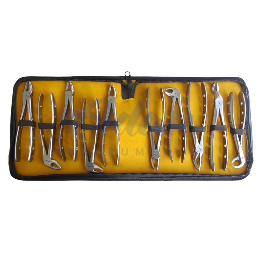 Top Selling Design with Holes  Professional Quality Dental Extraction Forceps Tooth Extracting Forceps by ADAN INSTRUMENTS
