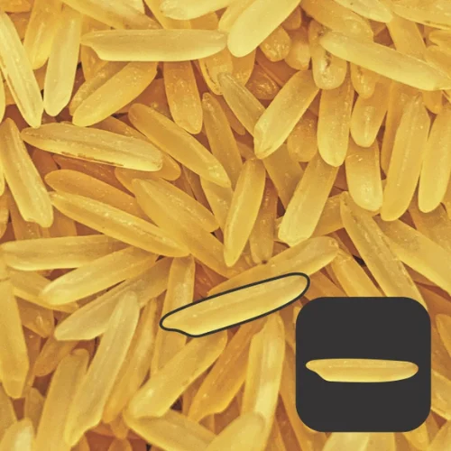 India feast 1121 Golden sella basmati rice in india