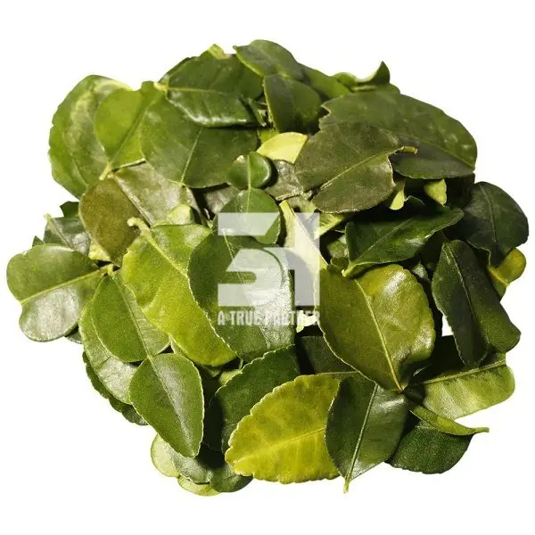 Competitive Price Dried Lemon Leaves From Vietnam With Best Quality