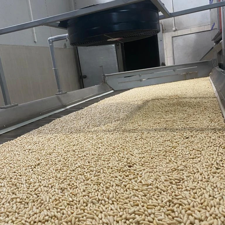 Dried Raw Pine Nuts, High Quality, Wholesale and Affordable, Natural, Turkish Pine Nuts