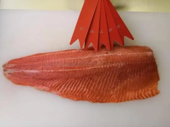 Salmon Skinless Fillet Portions Sustainably Sourced Salmon Sashimi