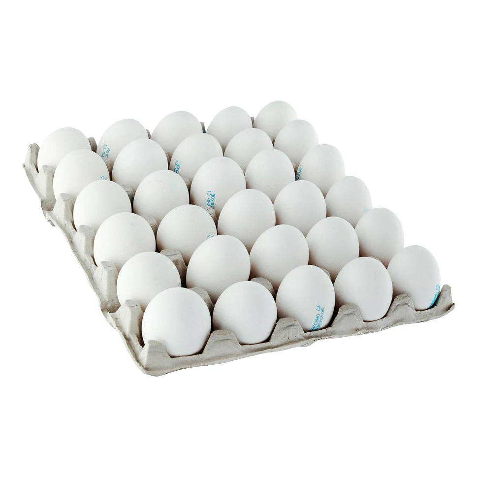 Buy Fresh White Eggs and Brown Chicken Eggs