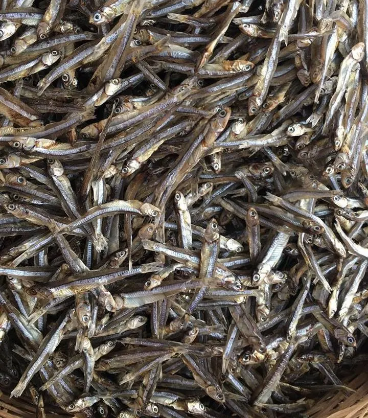 BEST PRICE - DRIED ANCHOVY MADE IN VIETNAM with PREMIUM QUALITY