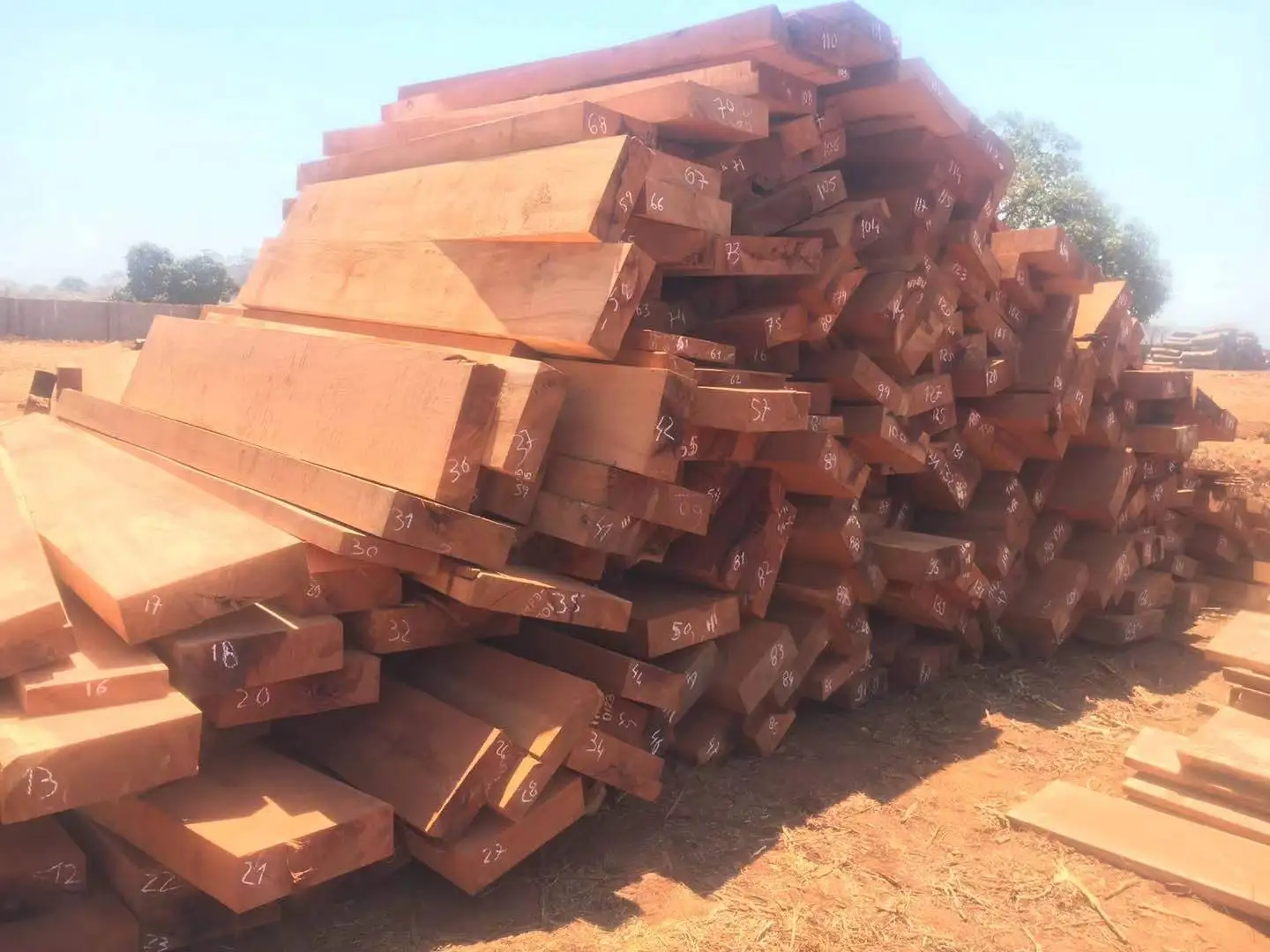 Doussie sawn timber from mozambique, High quality with low price