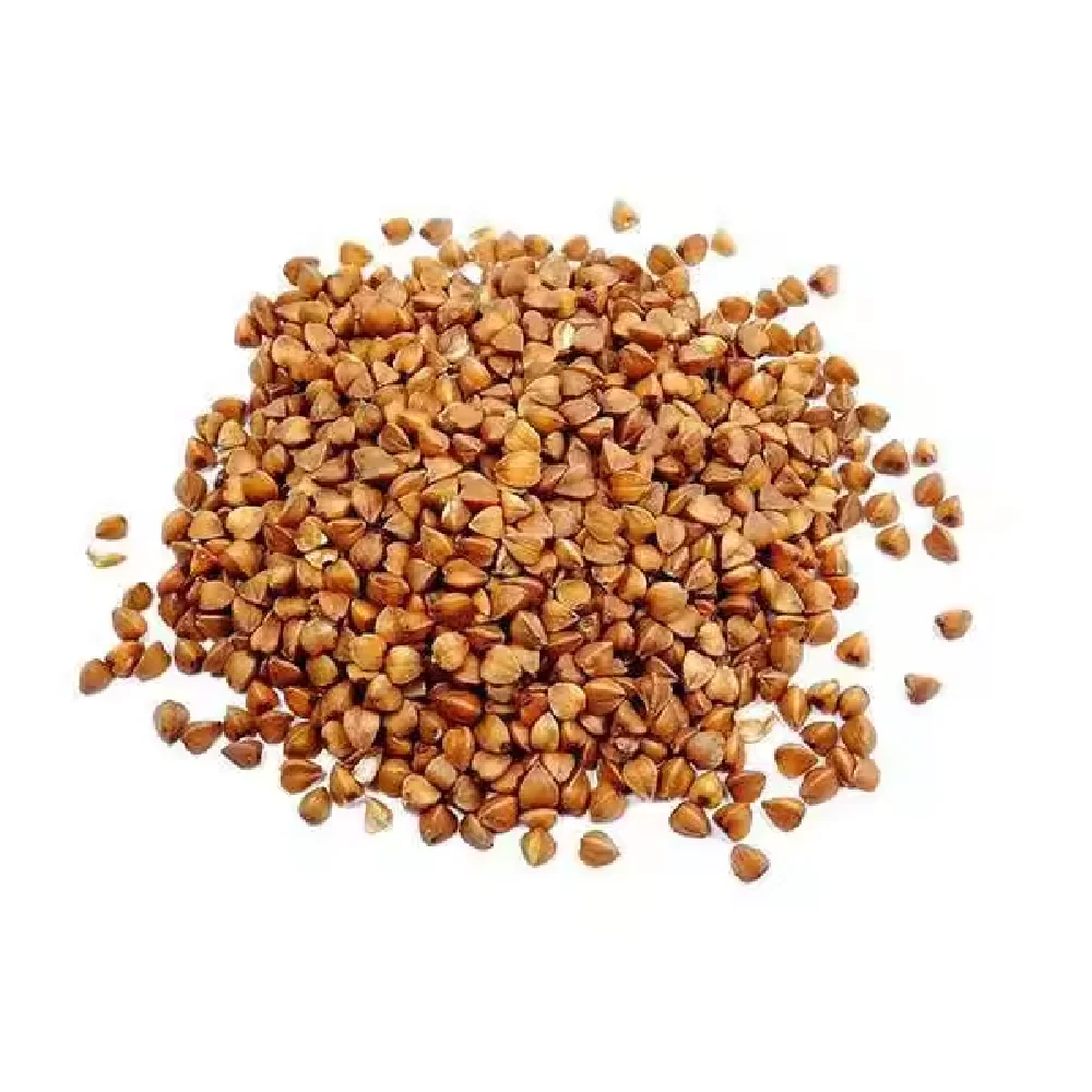 wholesale organic sale black gluten free roasted buckwheat kernel