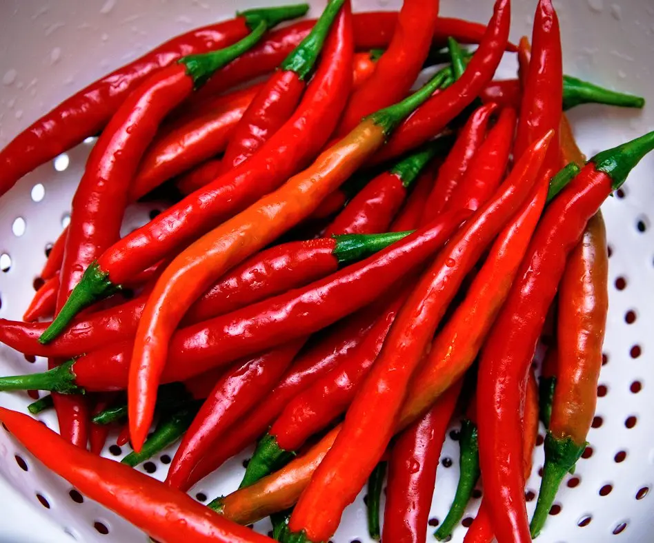 Biggest Sale Super Spicy Fresh Chili - Best Quality Organic Fresh Chili - Export from Vietnam