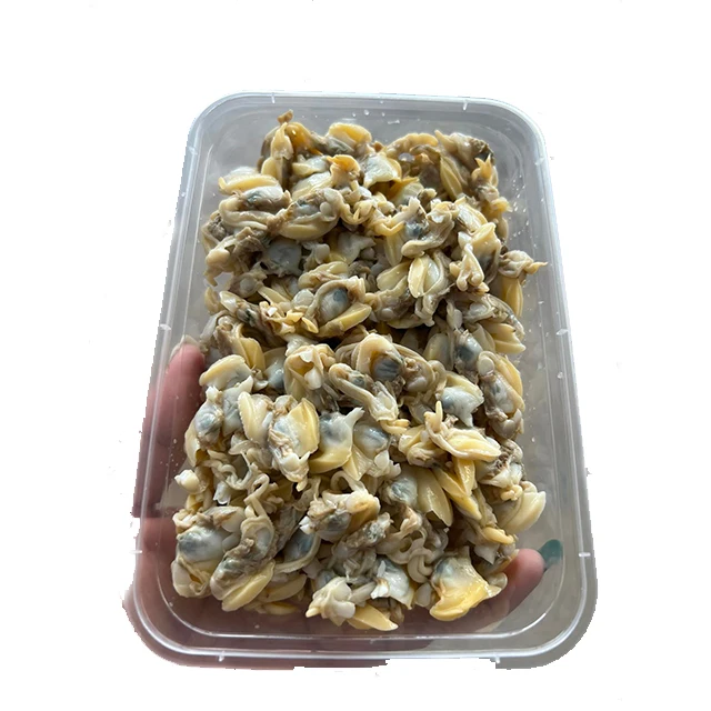 Frozen Clams High quality Big quantity and Good value