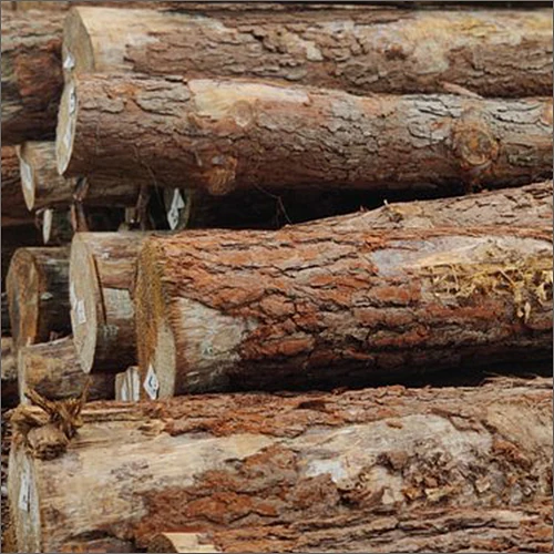 Pine Logs2.jpg
