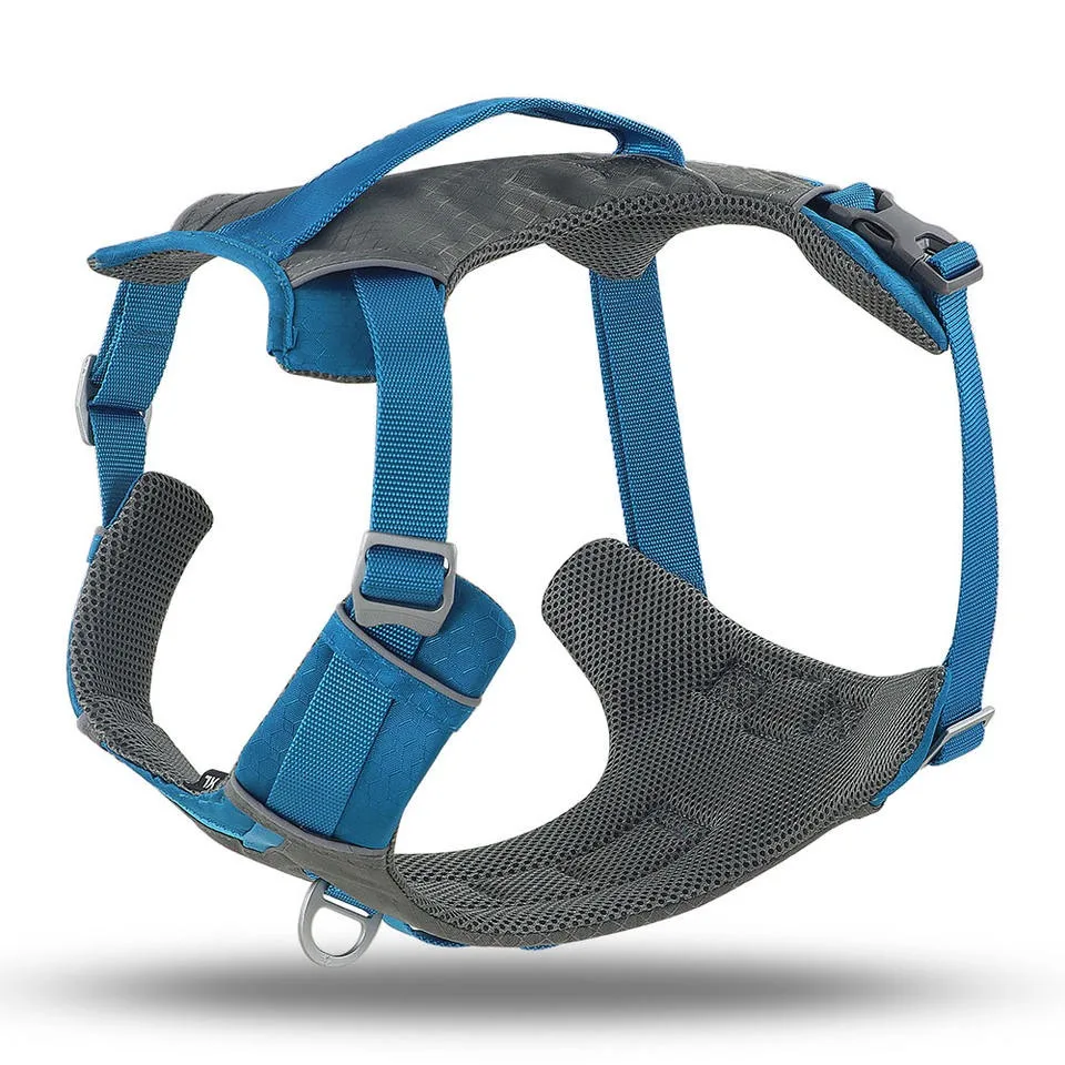 2024 New Design Printed Dog Harness Thermal Sublimation Polyester Material Pet Dog Collar Harness And Leash Set