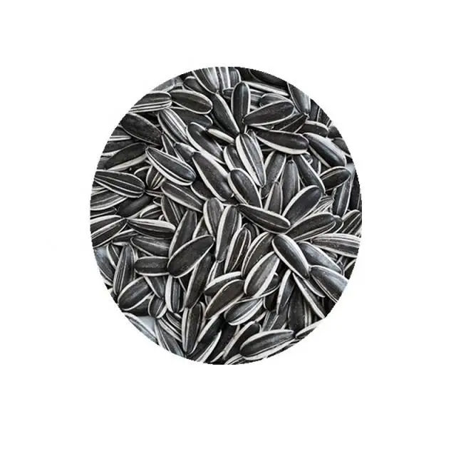 wholesale 2024 crop 361 sunflower seeds supply USA