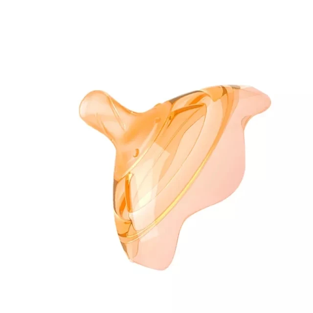 High Quality Wholesale Nipple Shield Breast Milk Nipple Protector with Carrying Case for Breastfeeding