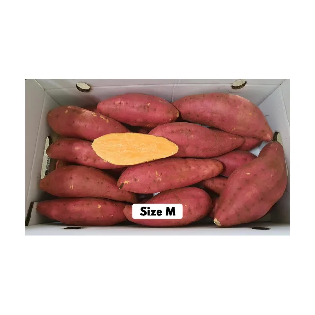 Конкурентоспособная цена, Вьетнам, сладкий картофель, новый сезон сбора урожая, свежий, Индивидуальный размер, оранжевый, высшее качество, бестселлер, оптовая продажа