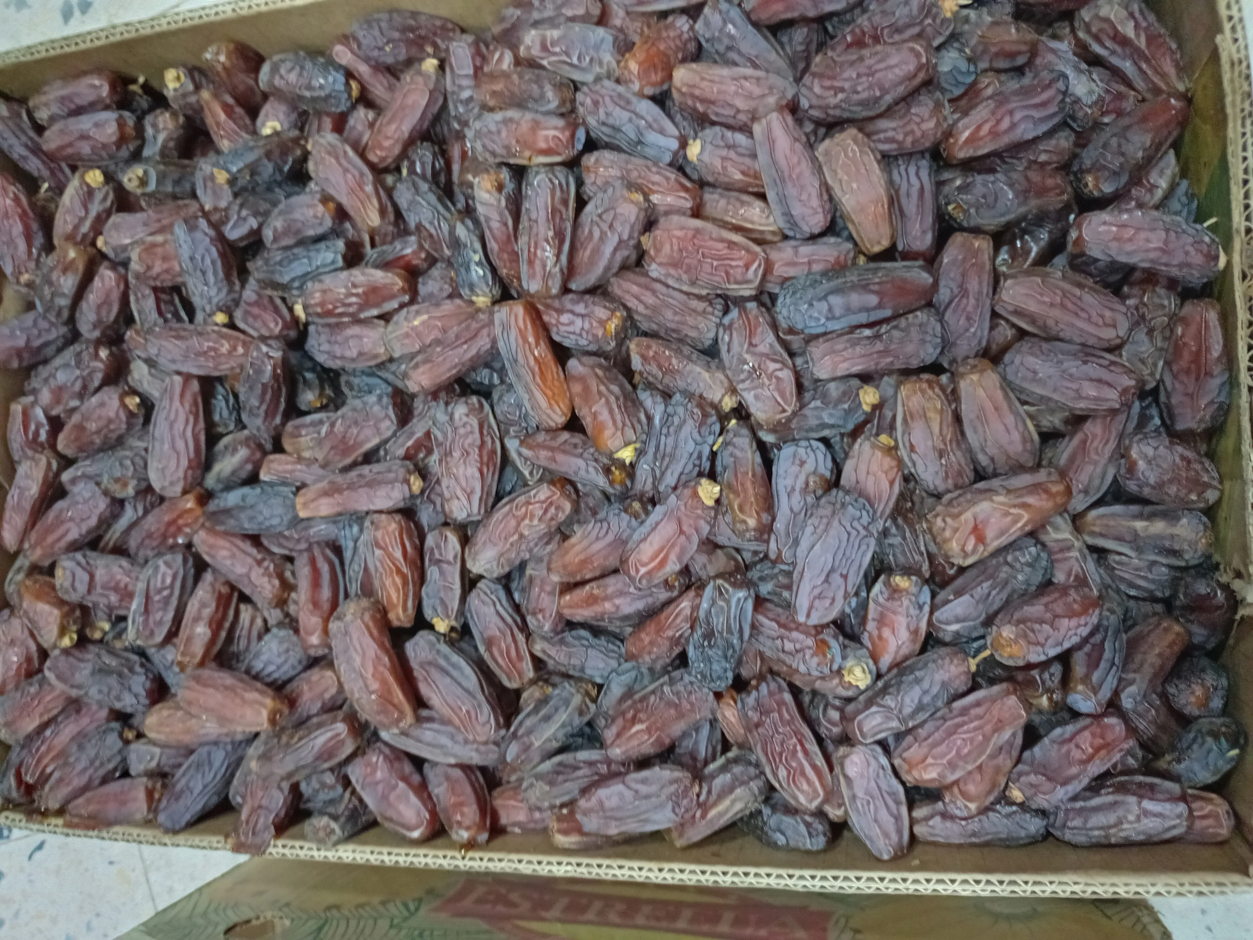 Mabroom dates for high and quick sales Ye Zao Yezao Dates for China Market from Saudi Arabia top grades competitive prices