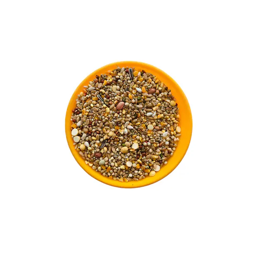 Best Quality Pet Food Bird Seed Feeder Pigeon Food Natural Mix Seed Fresh Bulk Style Storage Packing
