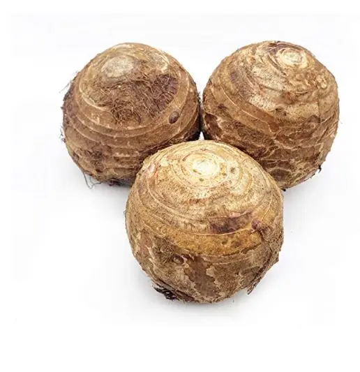 Wholesale Fresh Taro Low Price High Quality For Prices