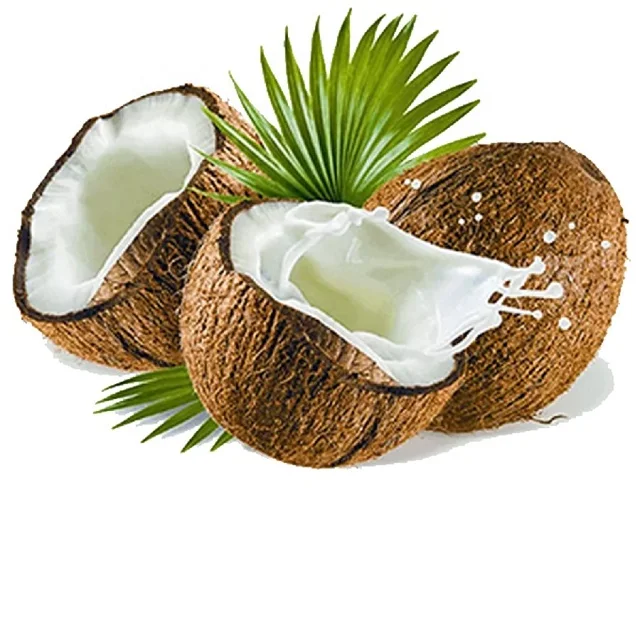 Thick Meat Sweet Water 100% Fresh Natural Semi Husked Coconut From Ben Tre Cheap Price Custom Package