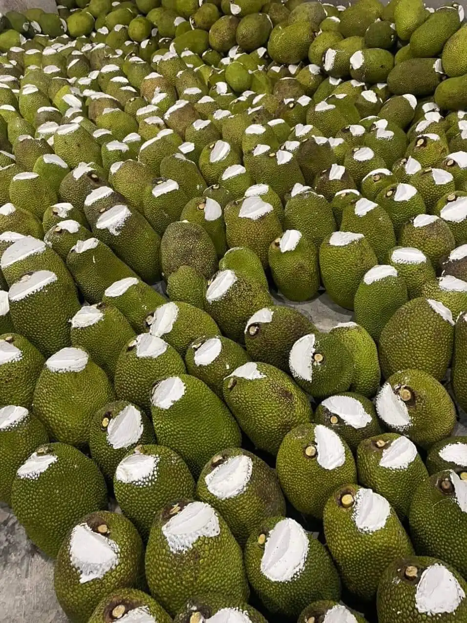 HIGH QUALITY FRESH DURIAN from VIETNAM Yellow Premium Tropical Style COLOR Cut Weight Origin Type Flesh Variety Size Grade ISO