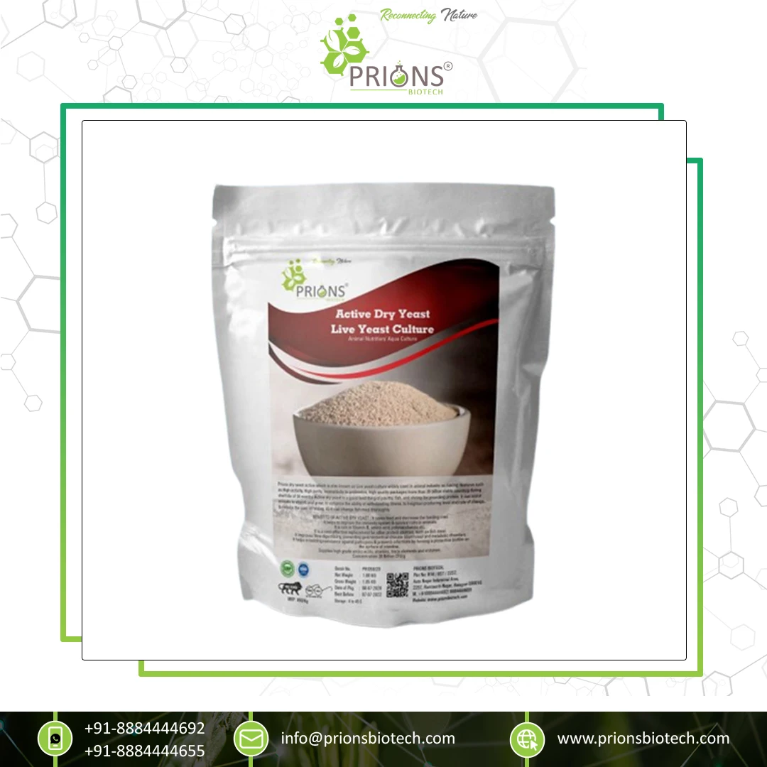 Best Deal of Good Efficiency Improve Immunity & Survival Ratio Aquaculture Probiotics Dry Yeast for Bulk Buyers at Low Price