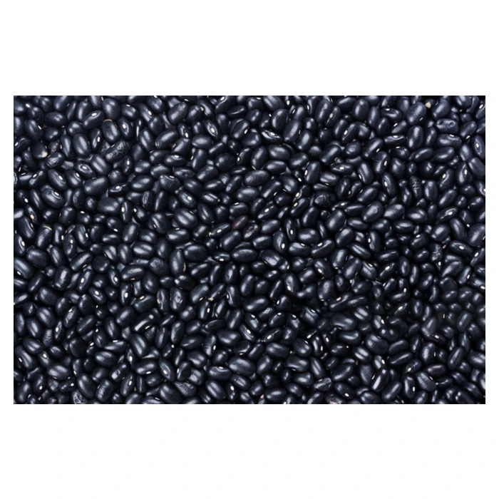 High Quality Mozambican Nutritious Plant Based Protein Black Bean