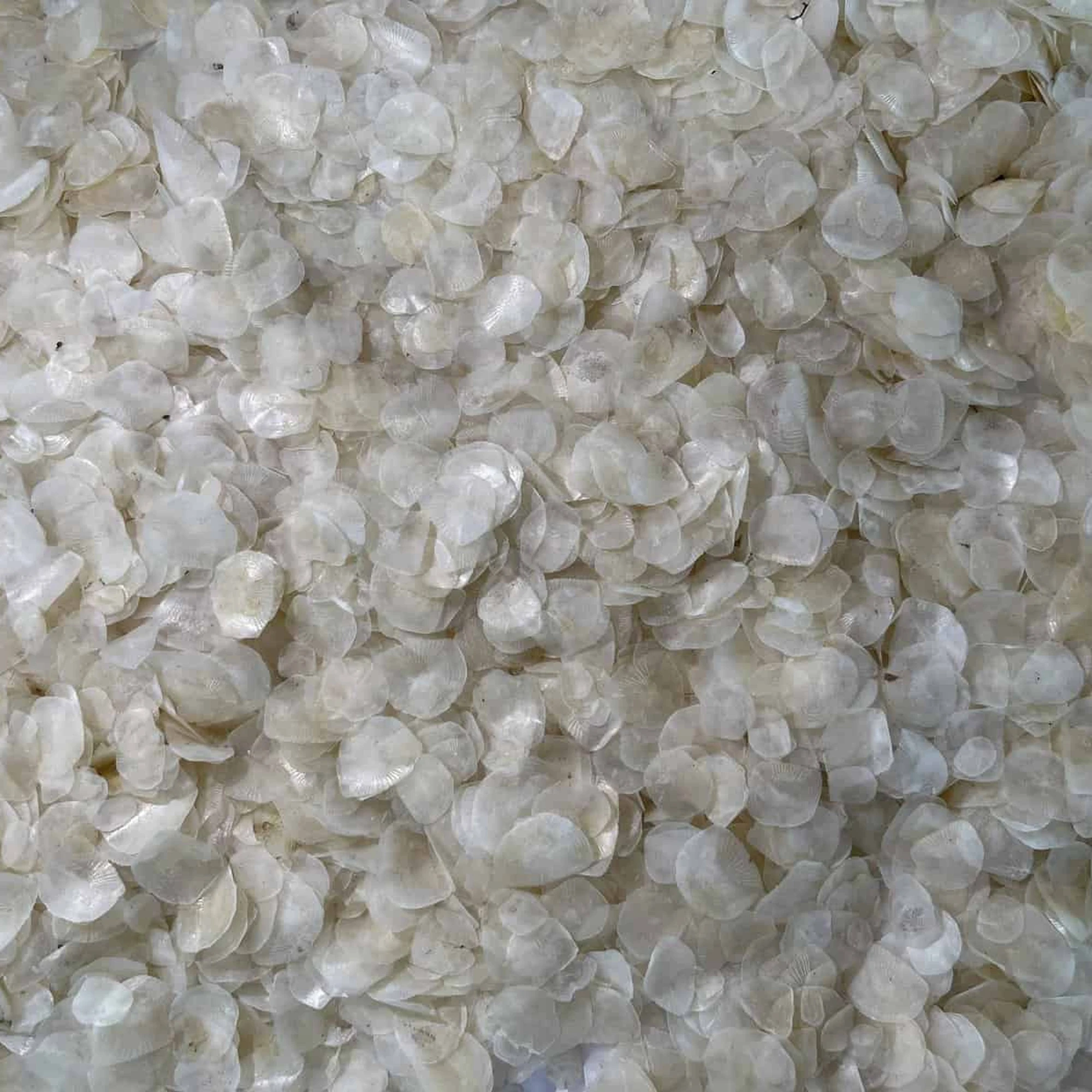 Premium Quality Export Oriented Wholesale Special Seafood Dried Fish Scale Custom Package Tilapia Fish Scales From Bangladesh