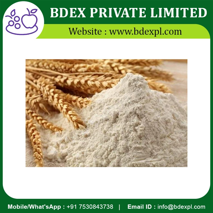 High Quality Flour Refined Available Wholesale Price
