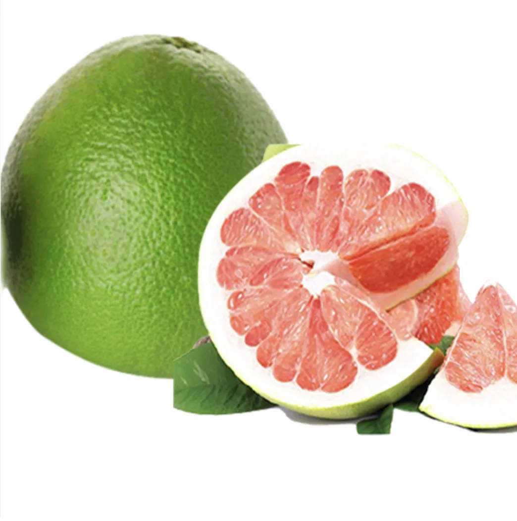 Fresh Fruit 1-1.8 kg/pcs Fresh Citrus Fruit Green skin pomelo grapefruit With pink flesh Brix 10 - 13% In Vietnam