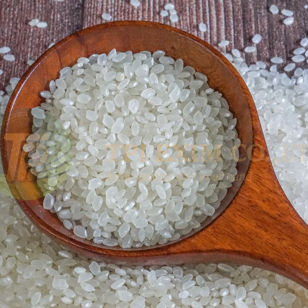 Japonica Rice Origin From Vietnam Best Quality Japonica Rice
