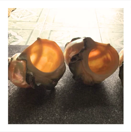 Высококачественная полированная Морская ракушка синяя линия-хорошая цена морская раковина для украшения подарка-высококачественный декор