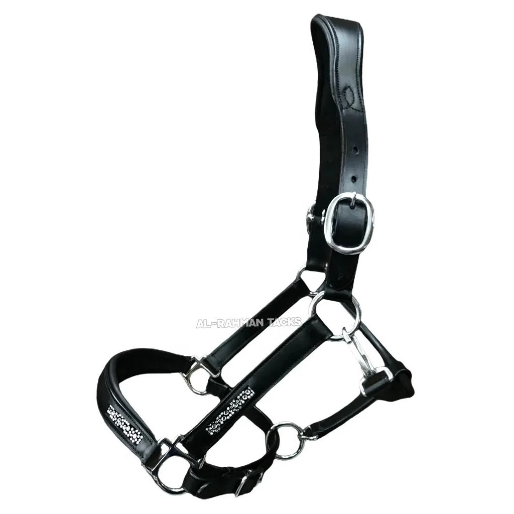 OEM BULK PURCHASE DRUM DYED LEATHER HORSE ANATOMIC DIAMANTE HEADCOLLAR SOFTY PADDED HALTER MULTIPLE COLORS SIZES & DESIGNS