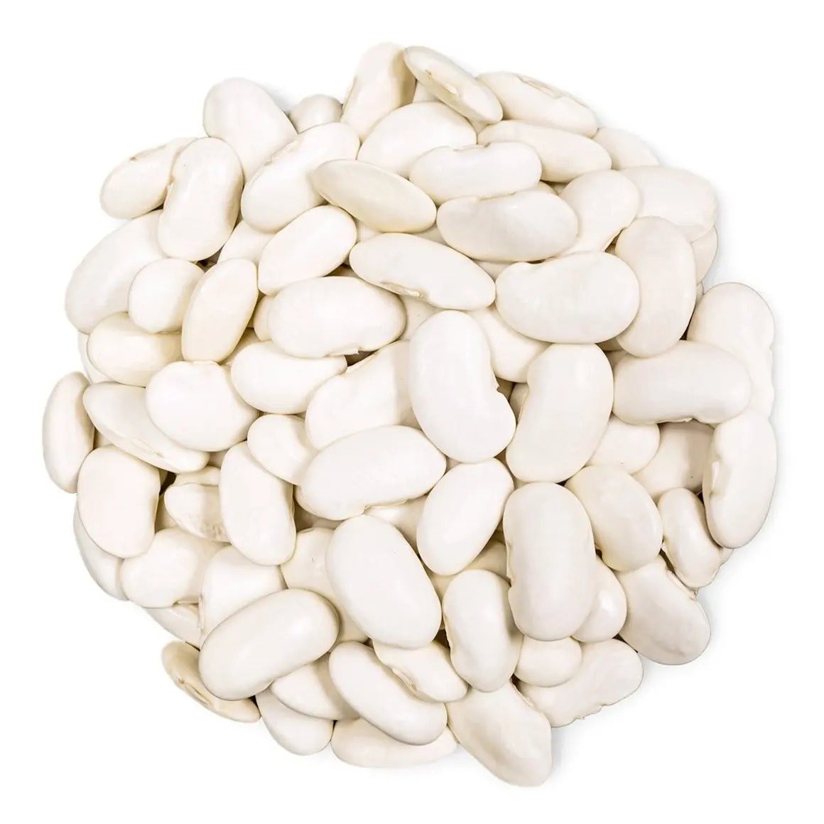 Buy Cheap Dark White Kidney Beans Long Shape Kidney Beans for sale
