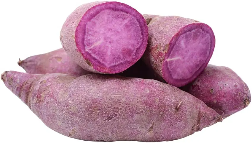 HOT SELLING FRESH YELLOW SWEET POTATO / FROZEN SWEET POTATO AT A LOW COST