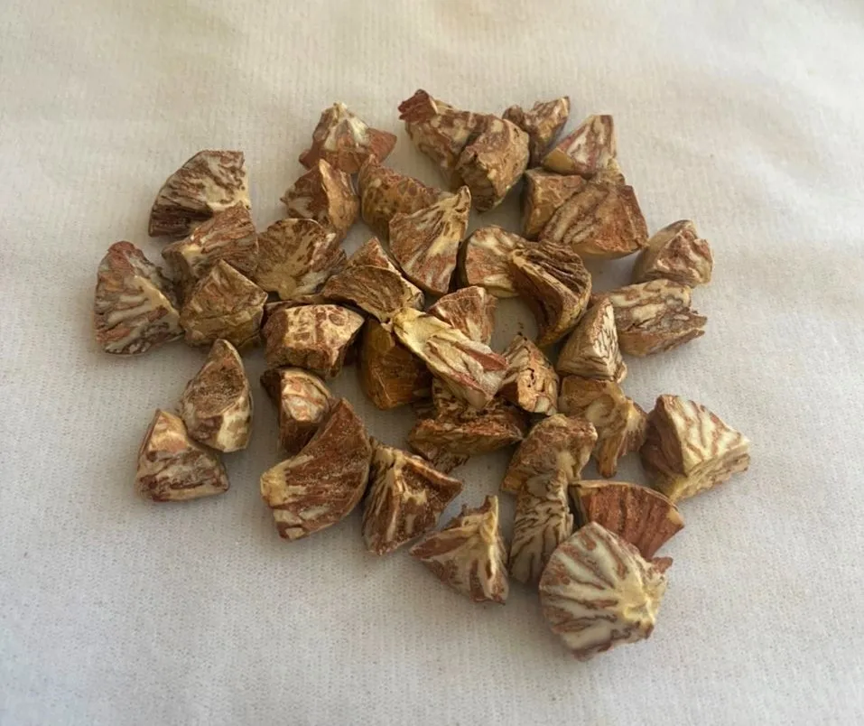 Betel Nuts